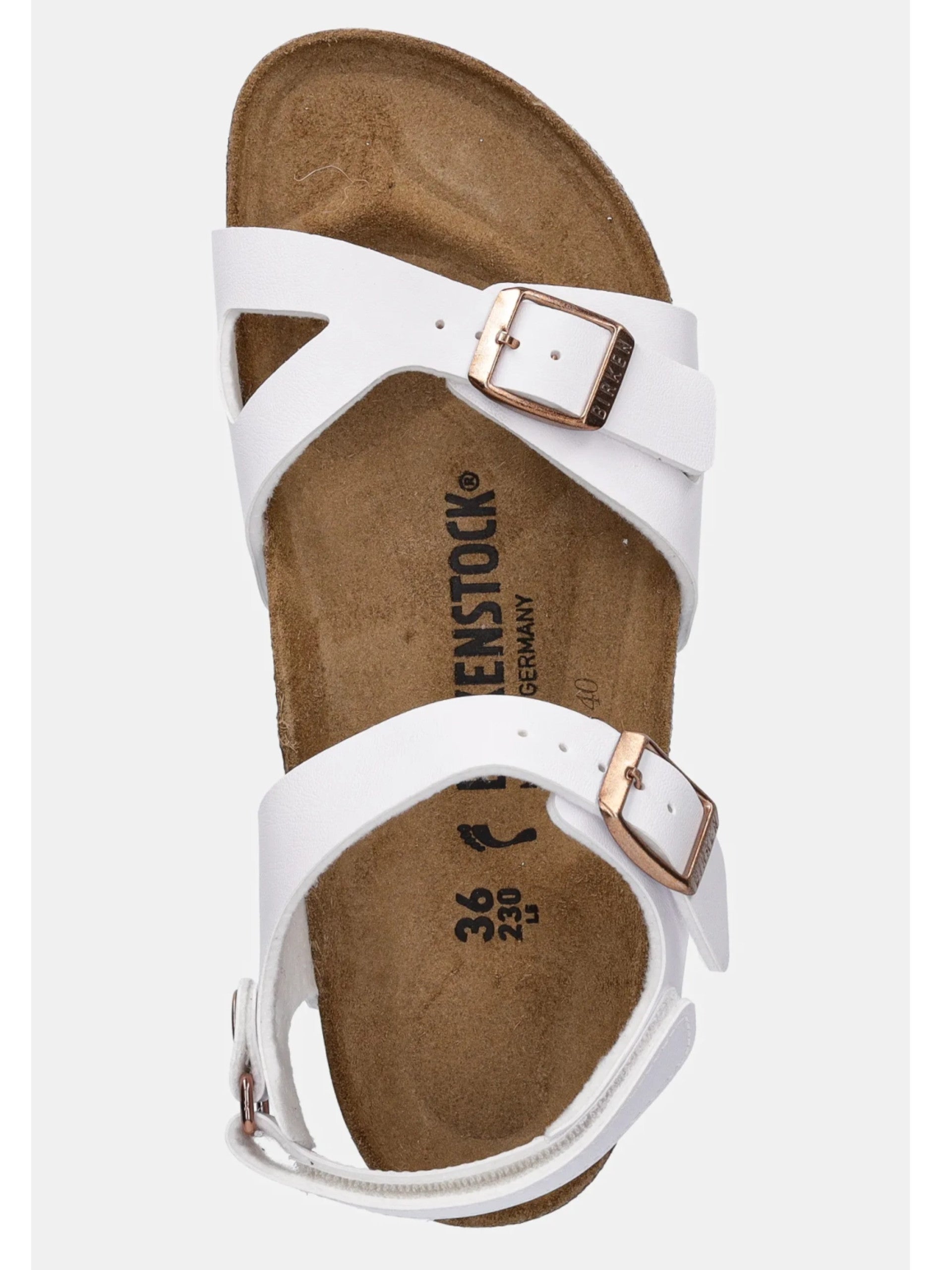 56519a2ee71994a6e9de73ed1690e971b6640570