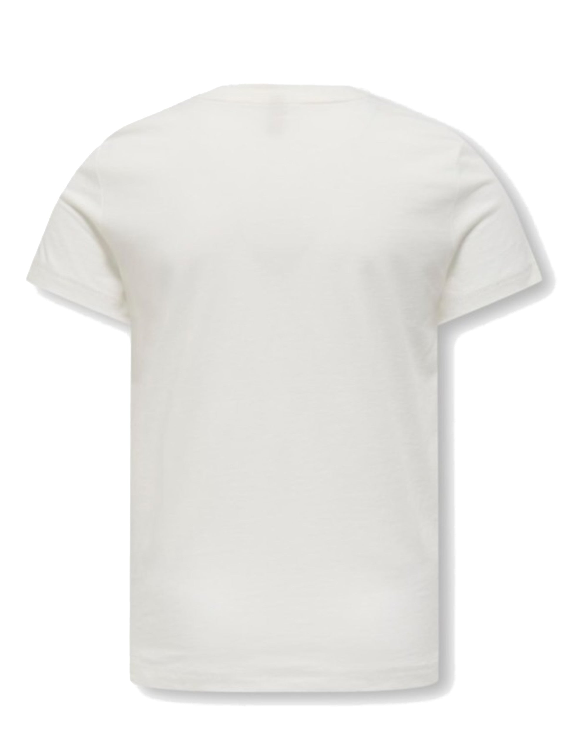 8c253e9c4a947d13259c31bb33f54779f834faa6