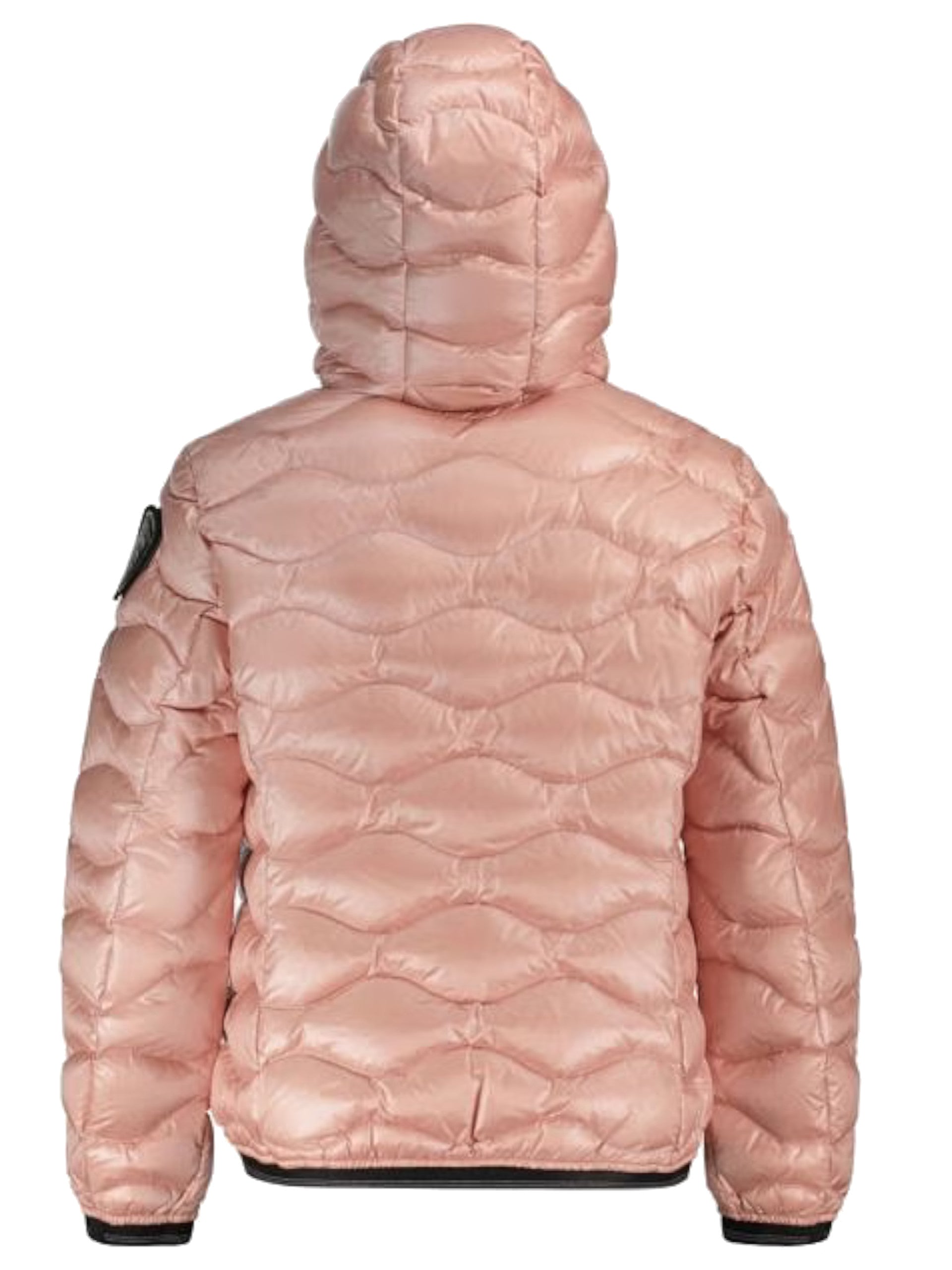 50b6b377976f4e39925b969dac542feb1212598a