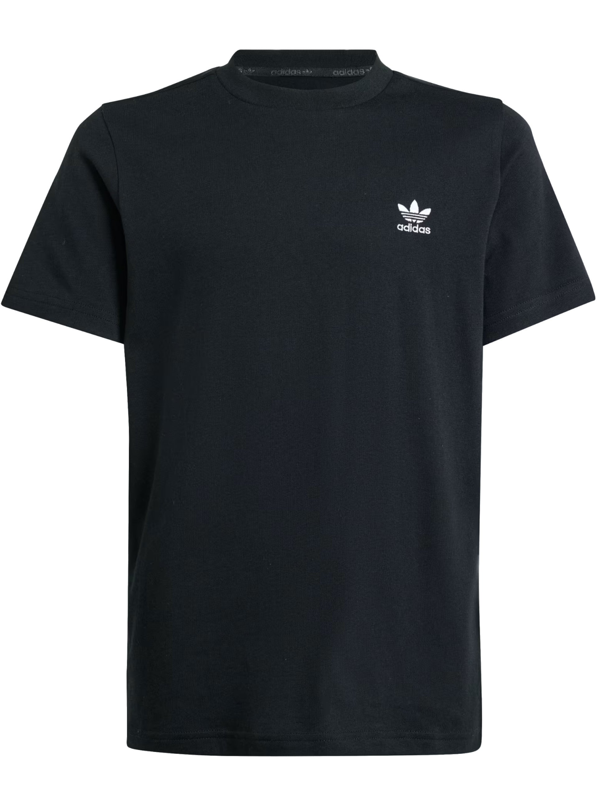 b56876eade10237bc69ea80394e388c43e25f7c8