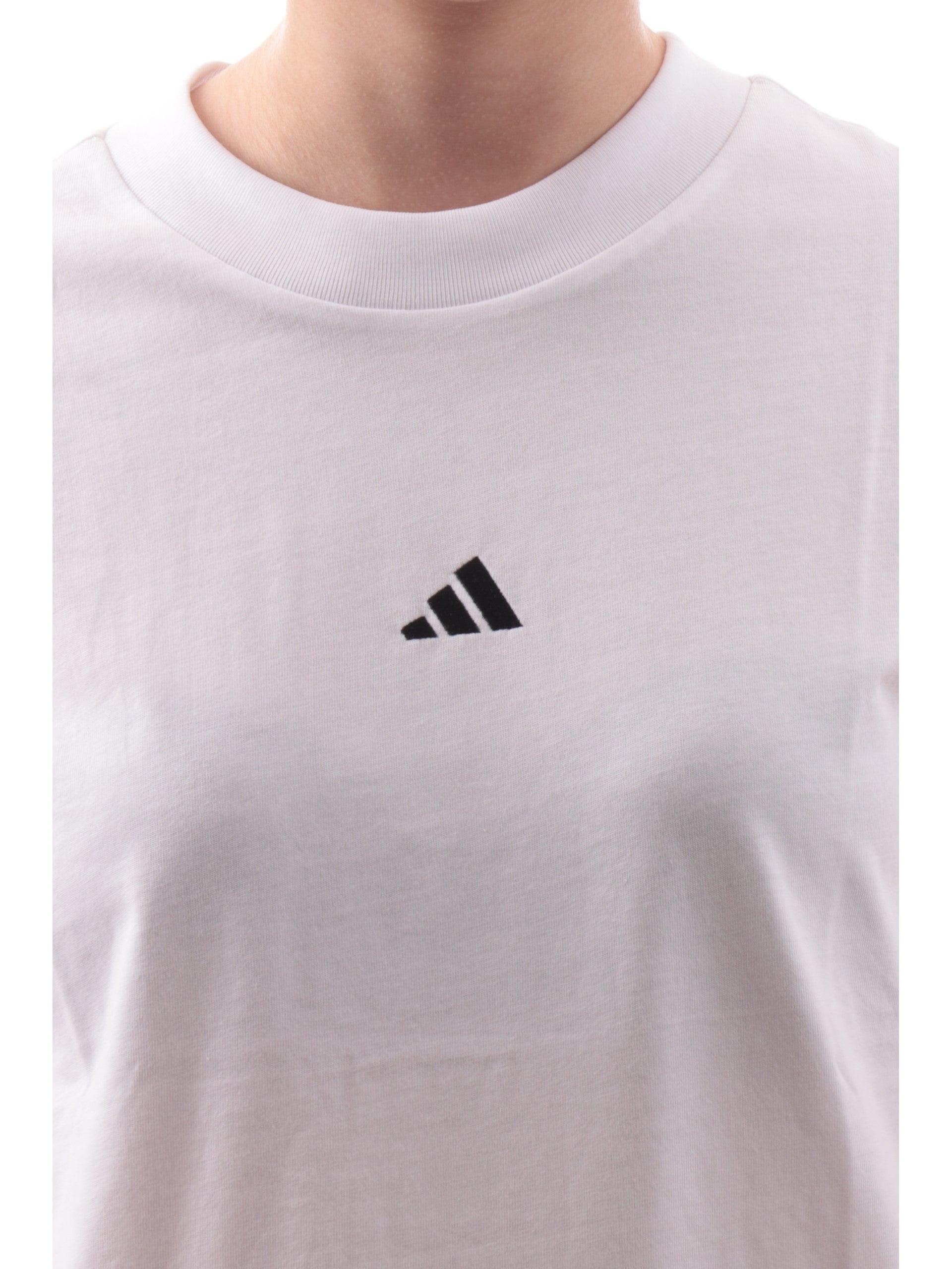 908850bf7aad0399ddcc0178b78819e230254d01