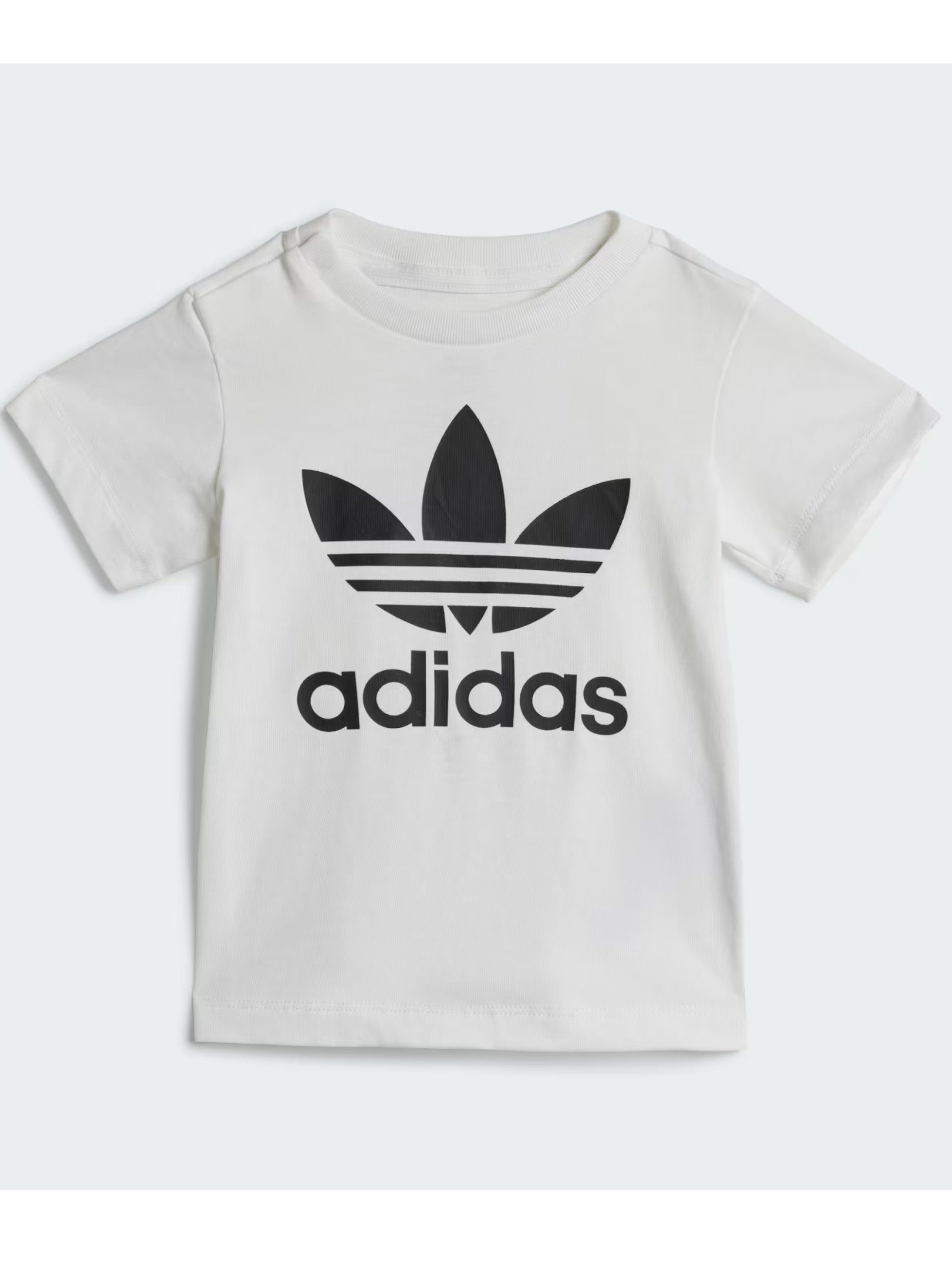 021f1dccb7241466e062ce5d55aaea603dc961c1