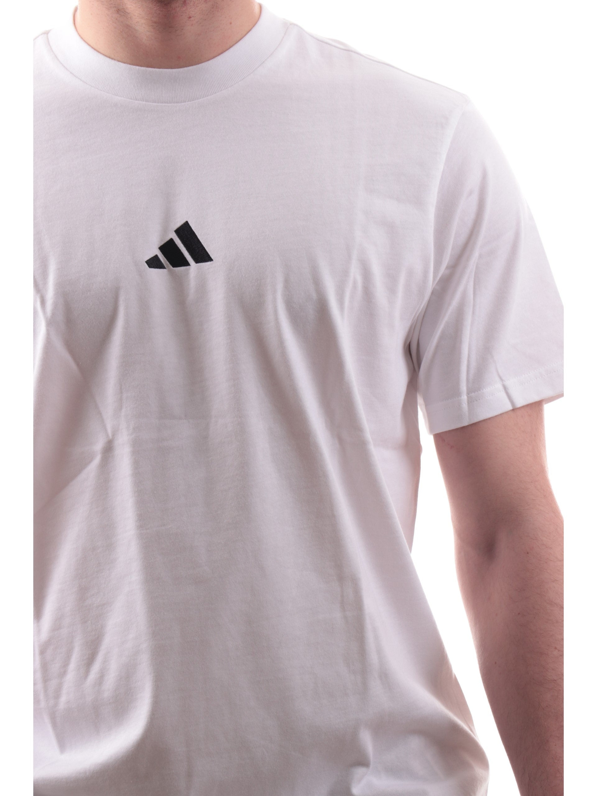 cc285fabdaa242c8c52f576ee920c9adc6ddfaa1