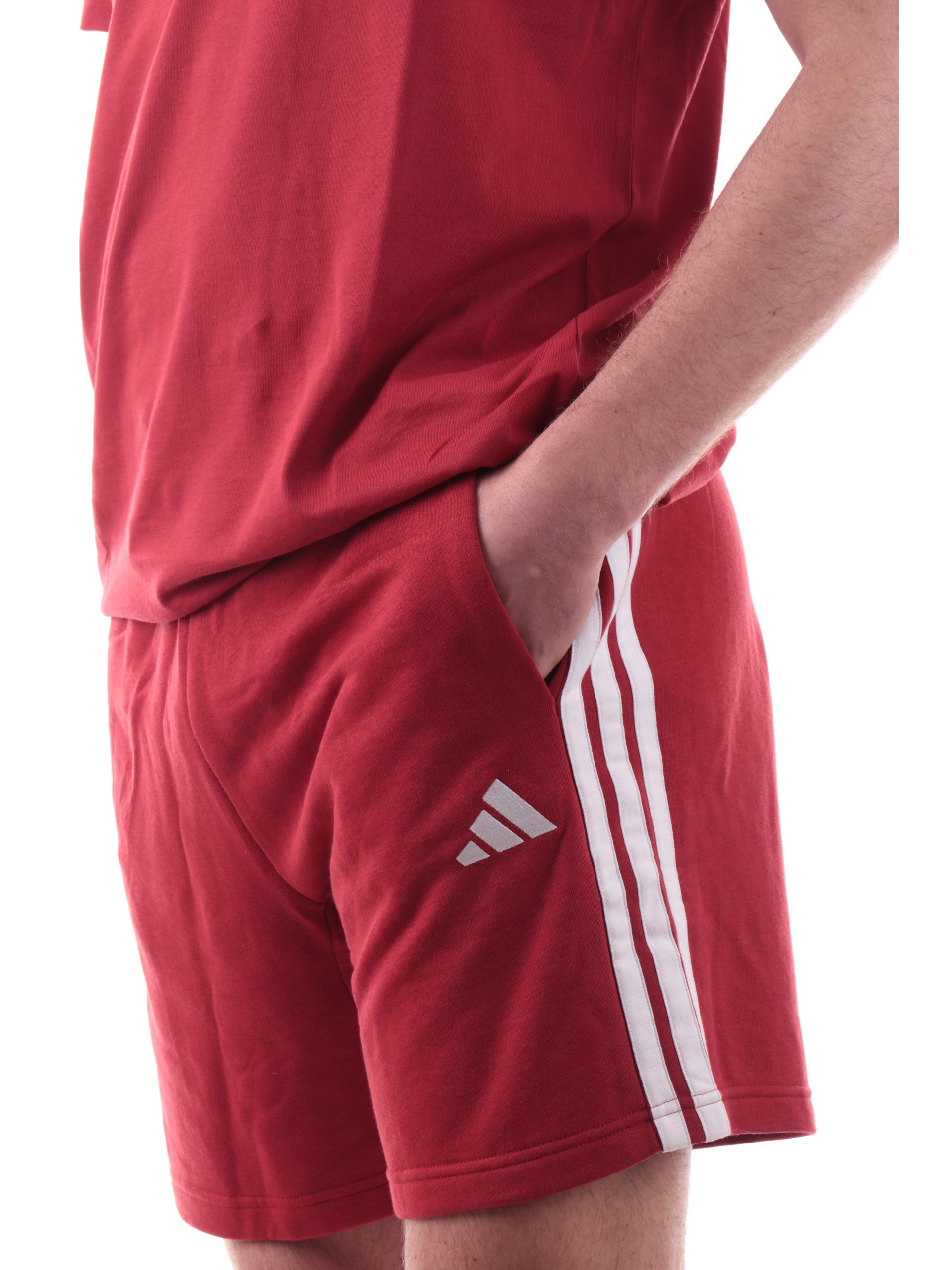 8696c2c4d19a43e09176a5586b4f26b144462bbc