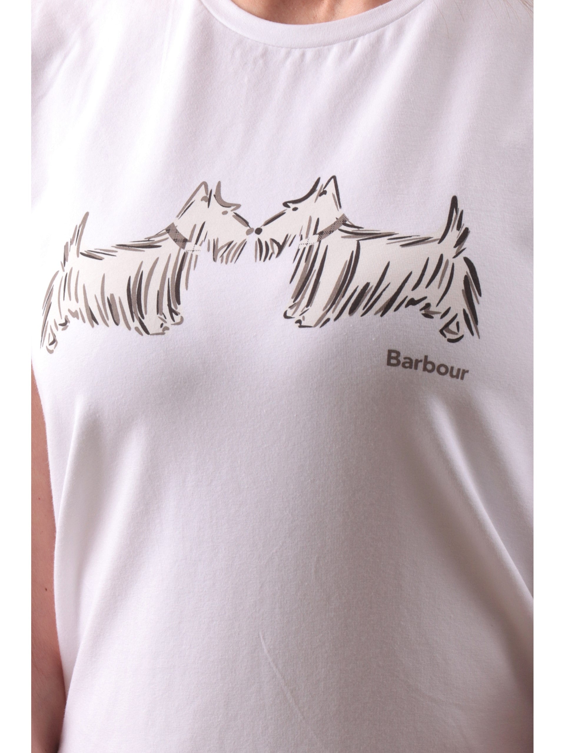 7c85cfc11c1af36f61bab1e4168c6b3e8067d427