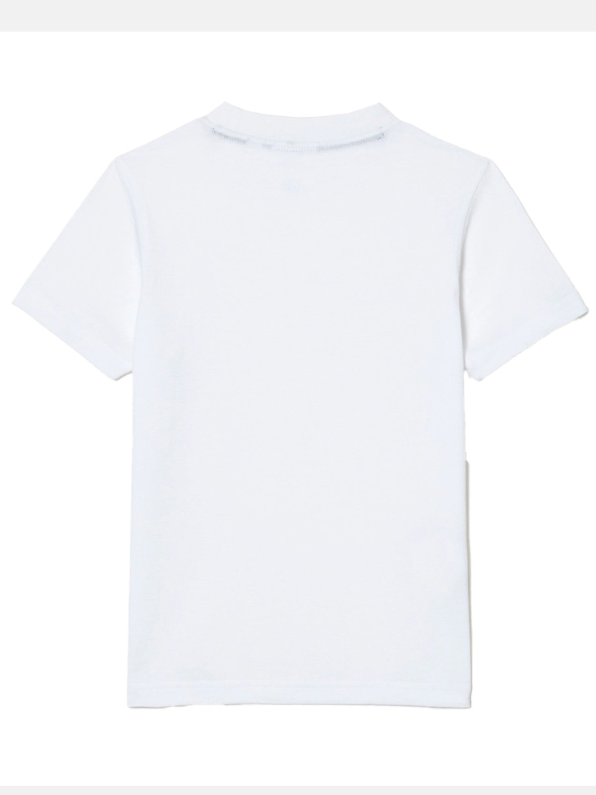 485afc7a9acaeb6bd90dd0172fdc2d0dd0d422ad