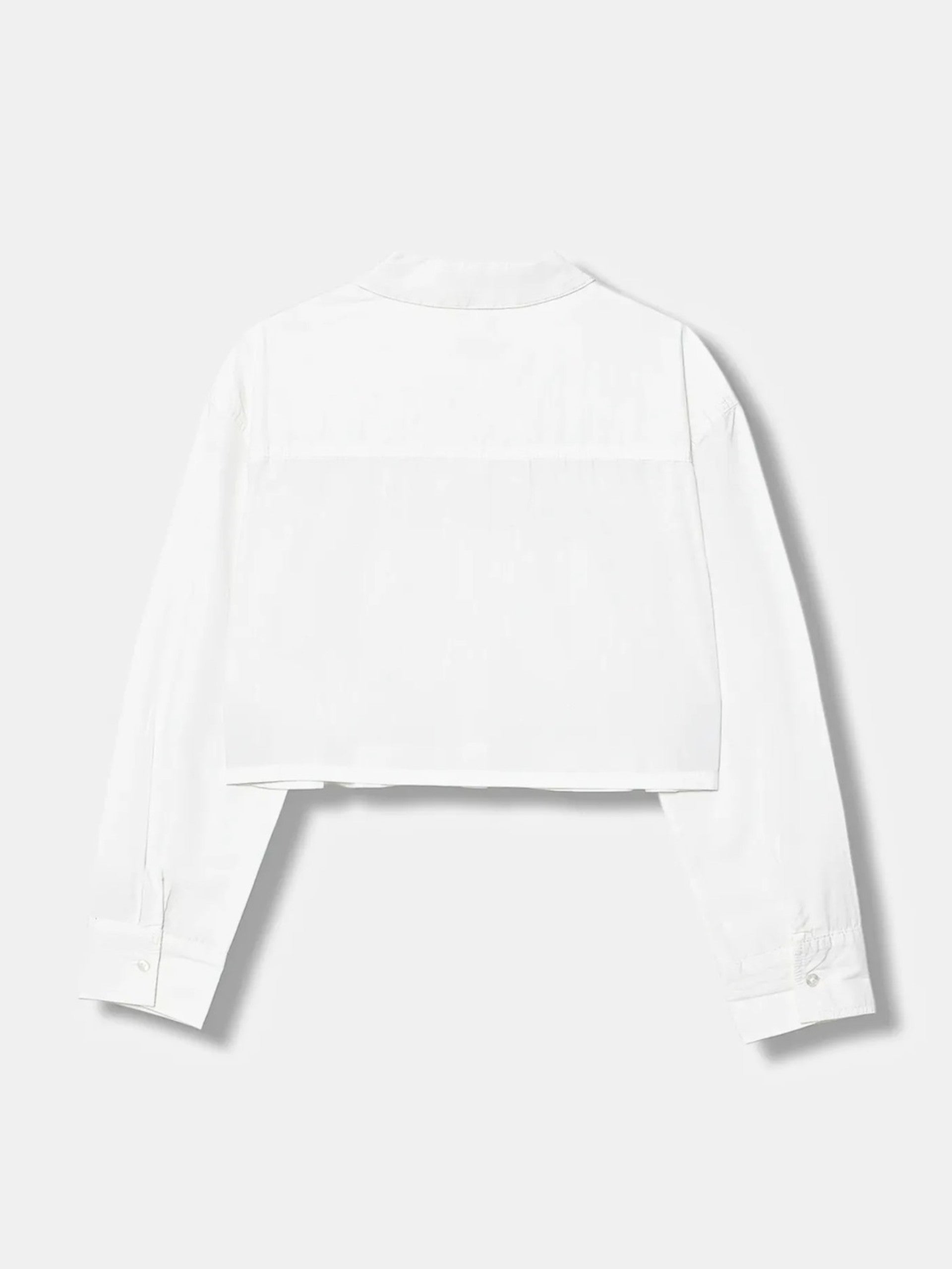 d2a55f2d510c30768864452abe0d36c0a0510a55