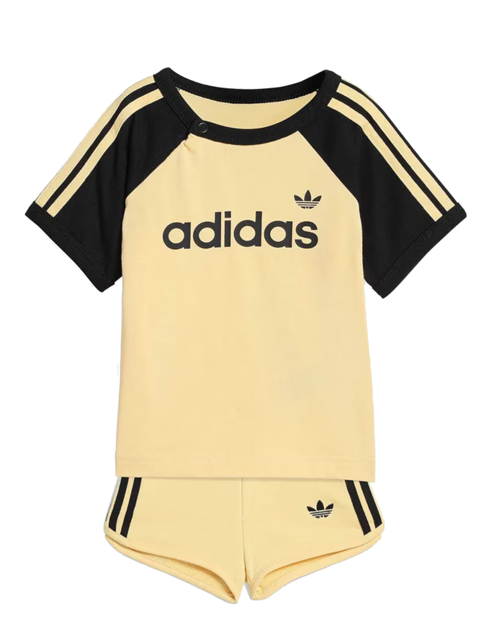 d965f846c5170f2b668f23a59219f826d4267d60