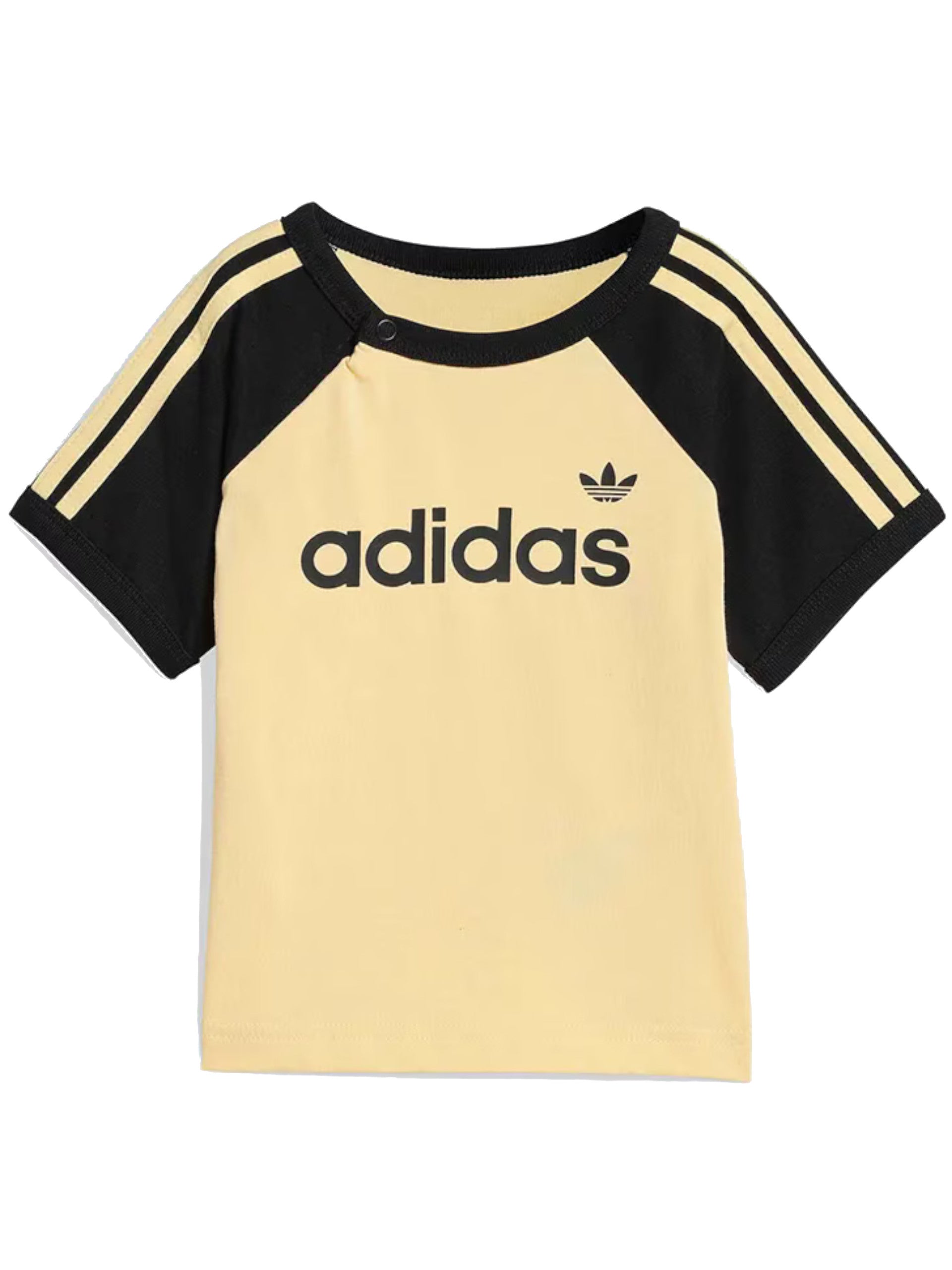 208878573fe40eca0acfb8b5e0f217426ae5b043