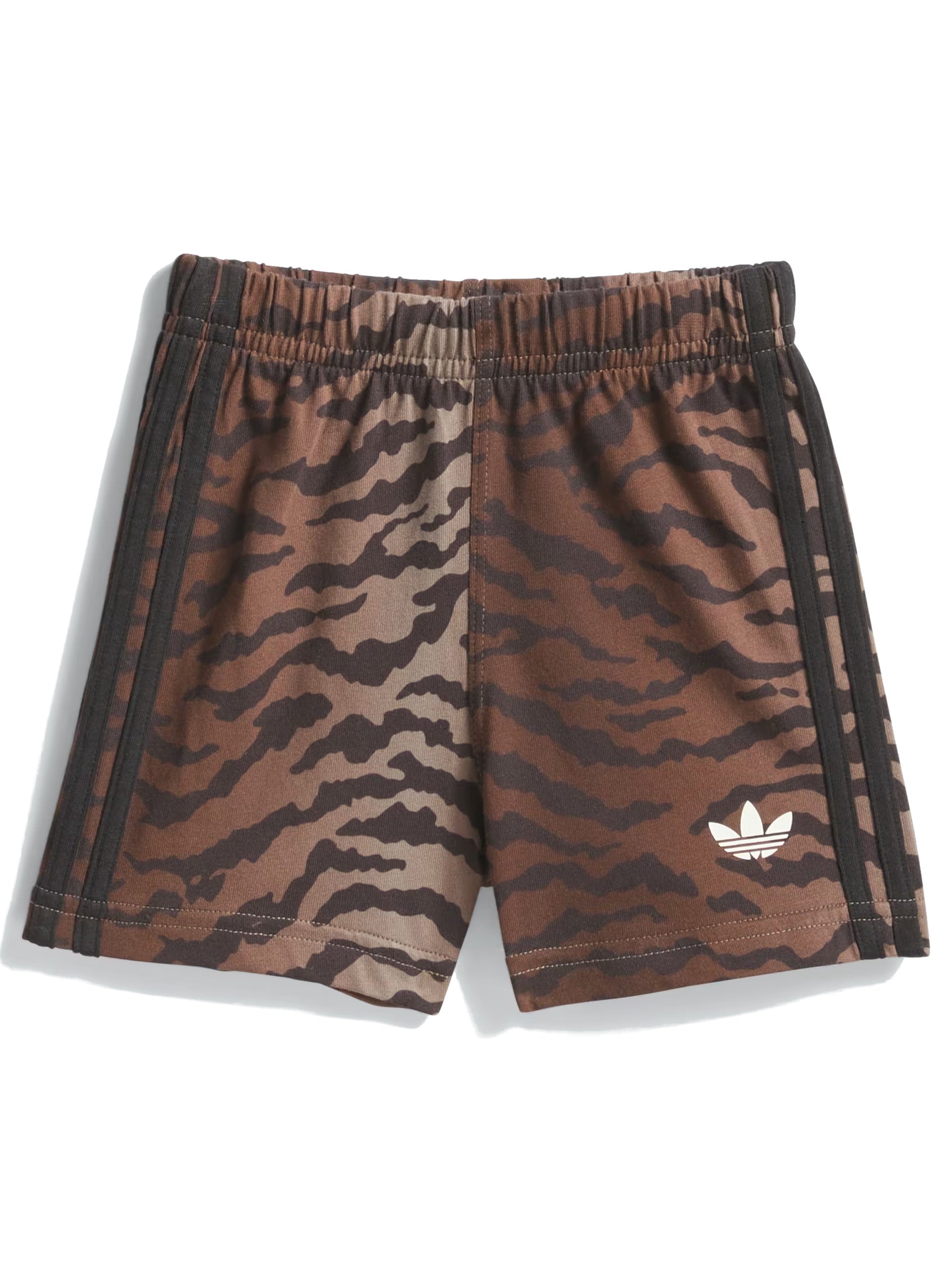 191b51a66e7ca02cf1b79d01ea8f34c52caf8f19