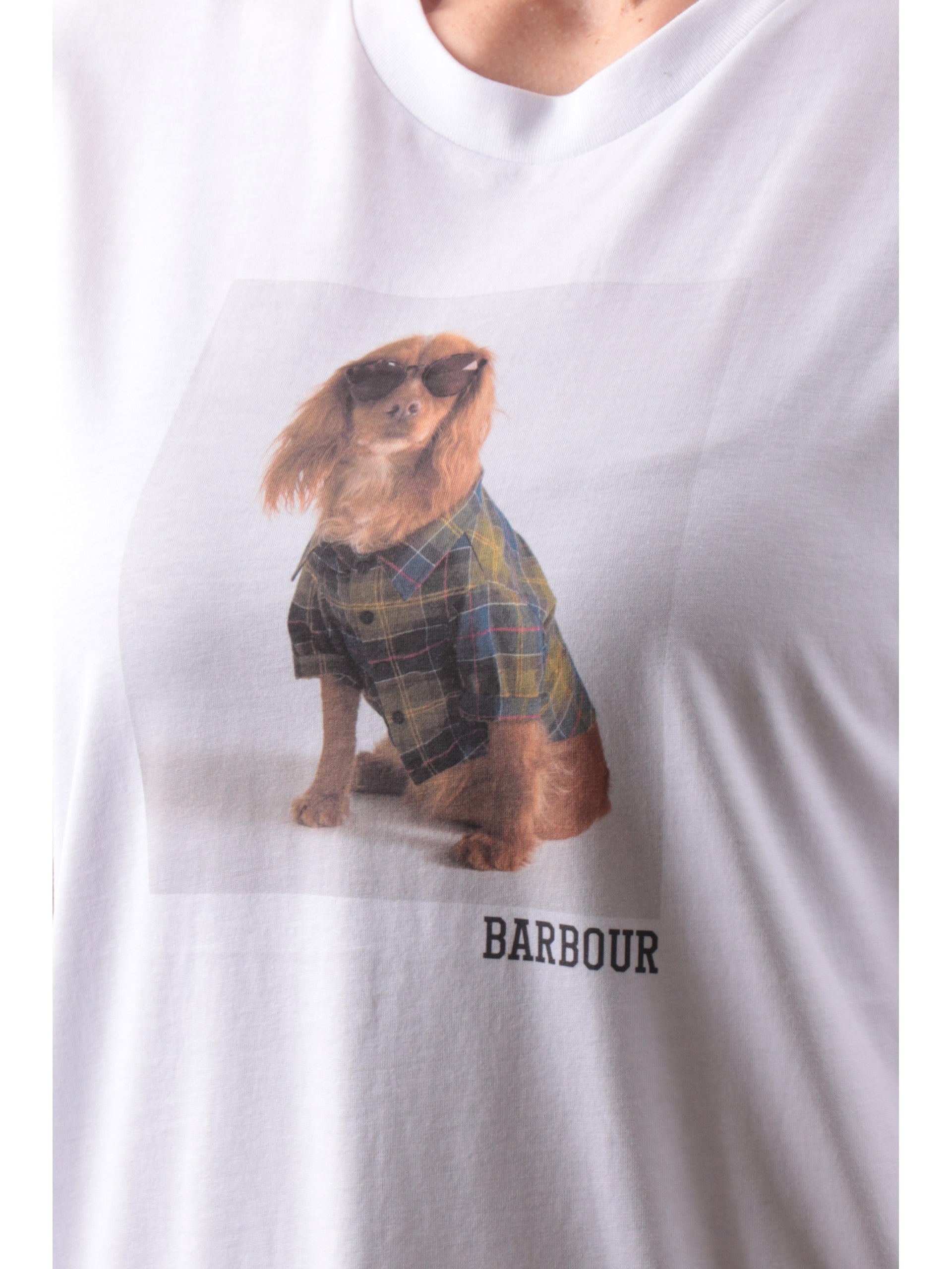 39dbefe9e07c5c98f8fbbcce43282ba422669582